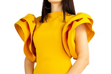 Open Back High Round Sleeves Dress - Mustard